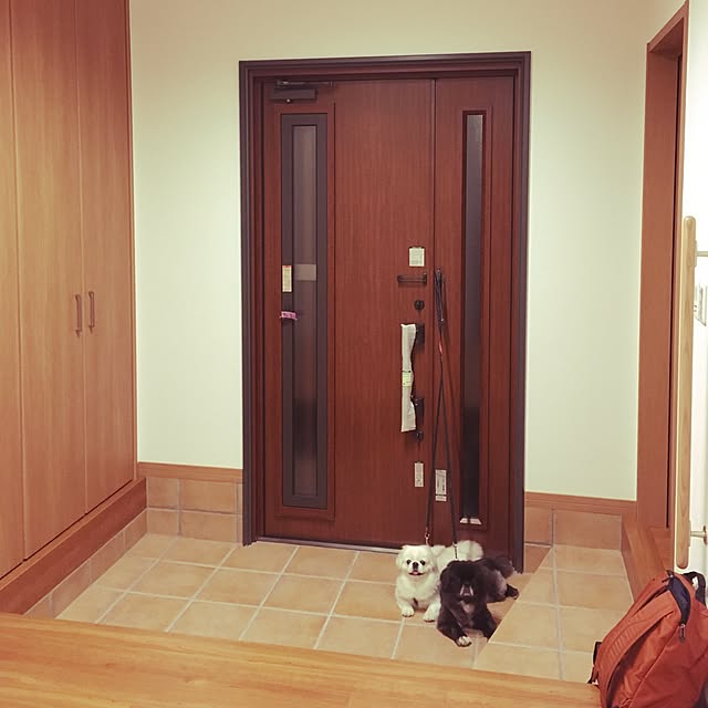 実例写真