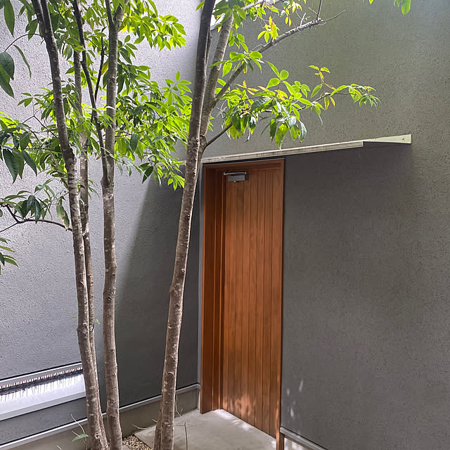 sznoieさんの部屋