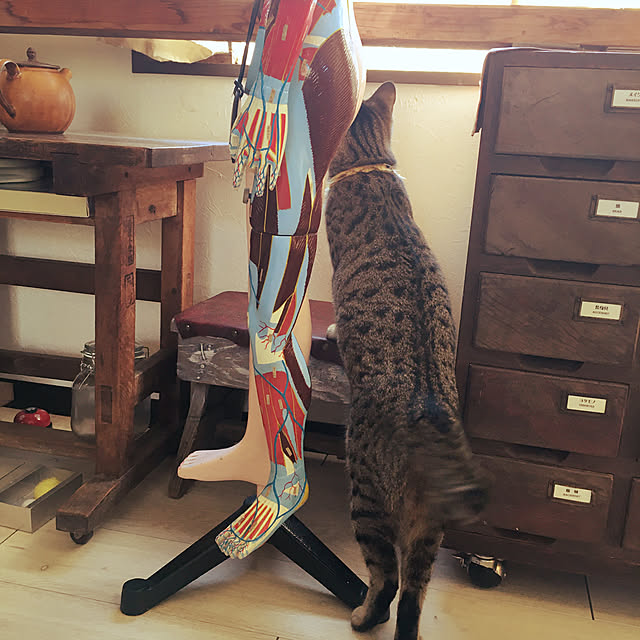 Mさんの実例写真