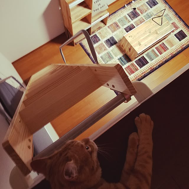 C.Tさんの実例写真
