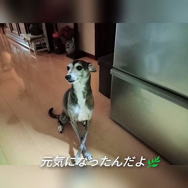 moruさんの部屋
