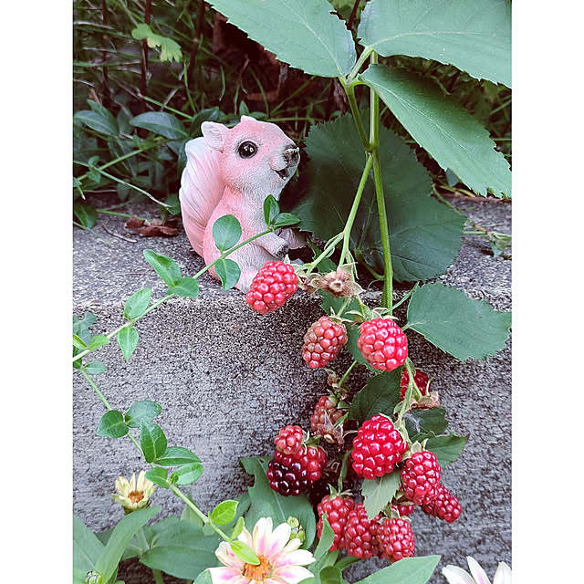 kiraさんの実例写真