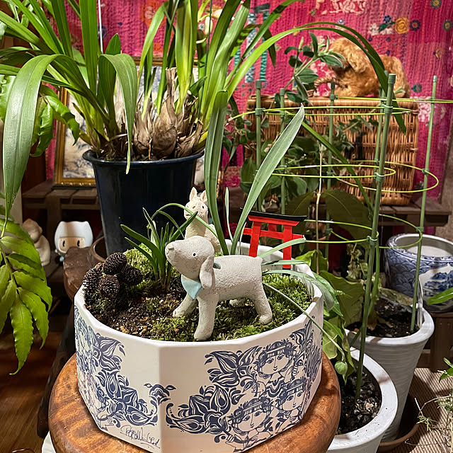 shin0719さんの実例写真