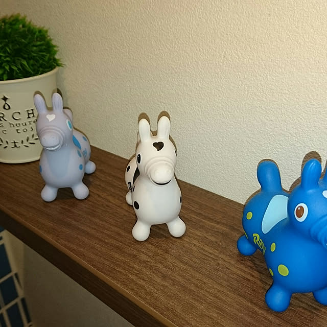 sasukeさんの実例写真