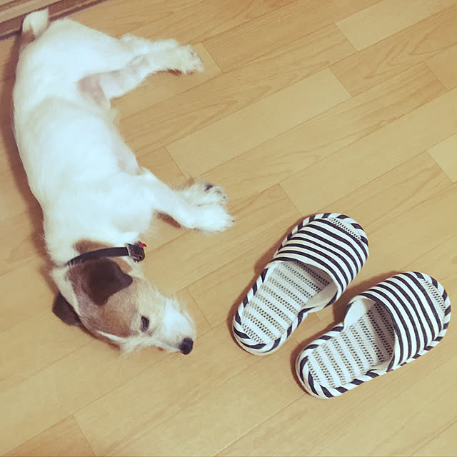 t723さんの実例写真