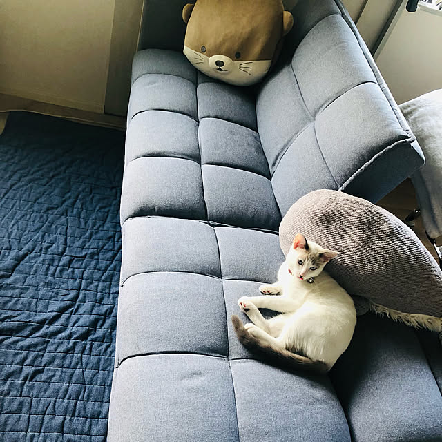Aoiさんの実例写真