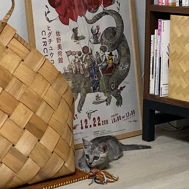mtkさんの実例写真