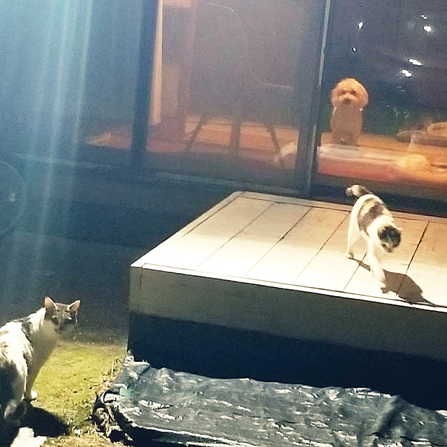 mimoさんの実例写真