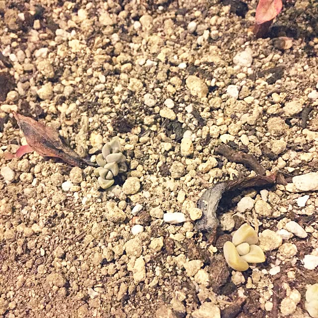 takayukiさんの実例写真