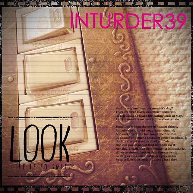 INTRUDER39さんの実例写真