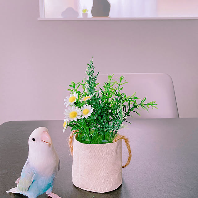 kiki-9127さんの実例写真
