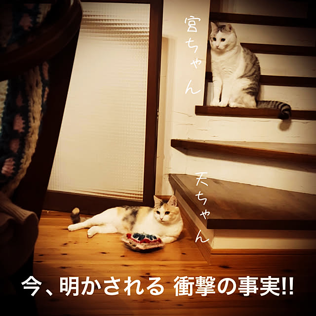 marusanさんの実例写真
