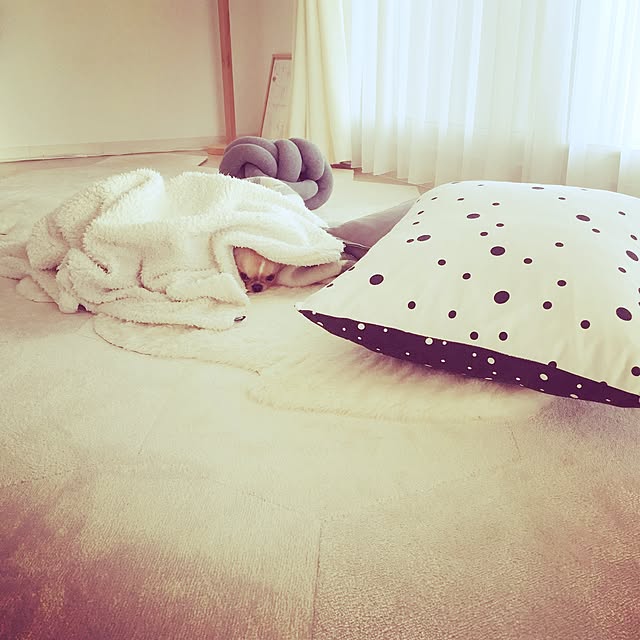 haruhinaさんの実例写真