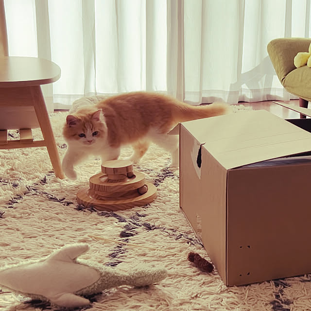 junさんの部屋
