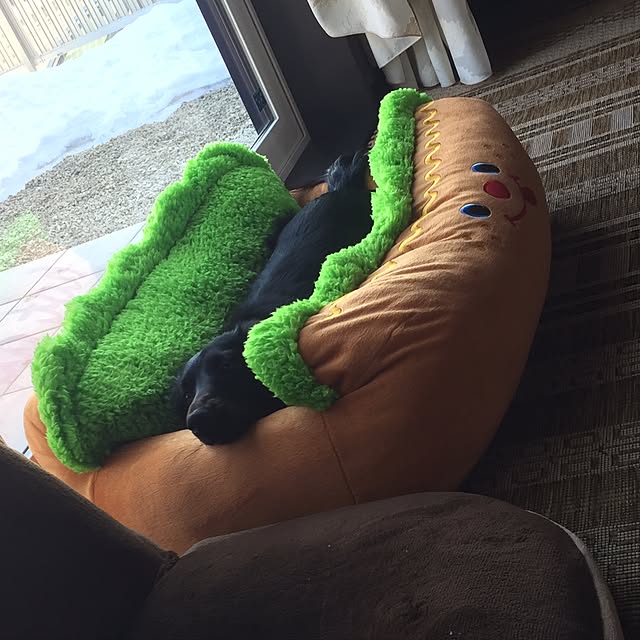 sasaさんの実例写真