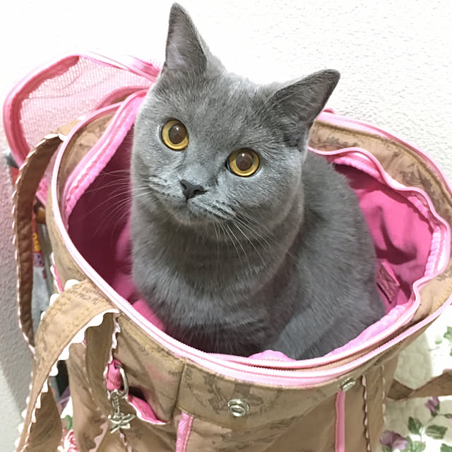 fionaさんの実例写真