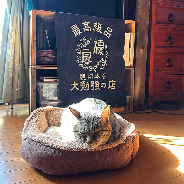 mikan161さんの実例写真