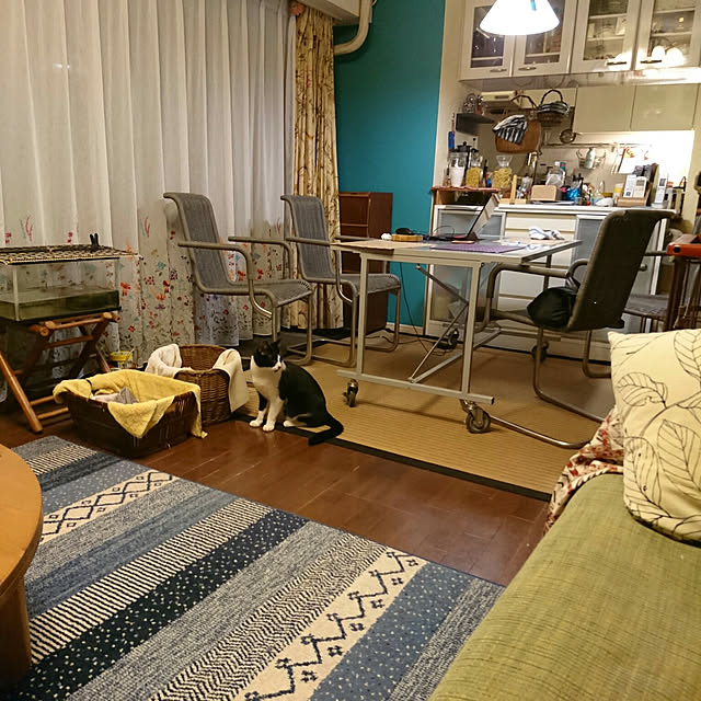 okyosan101さんの実例写真