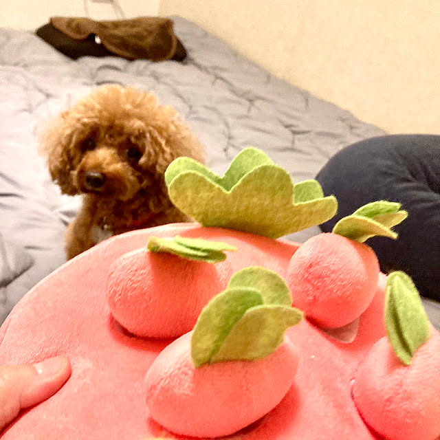 MOMOMAMAさんの部屋