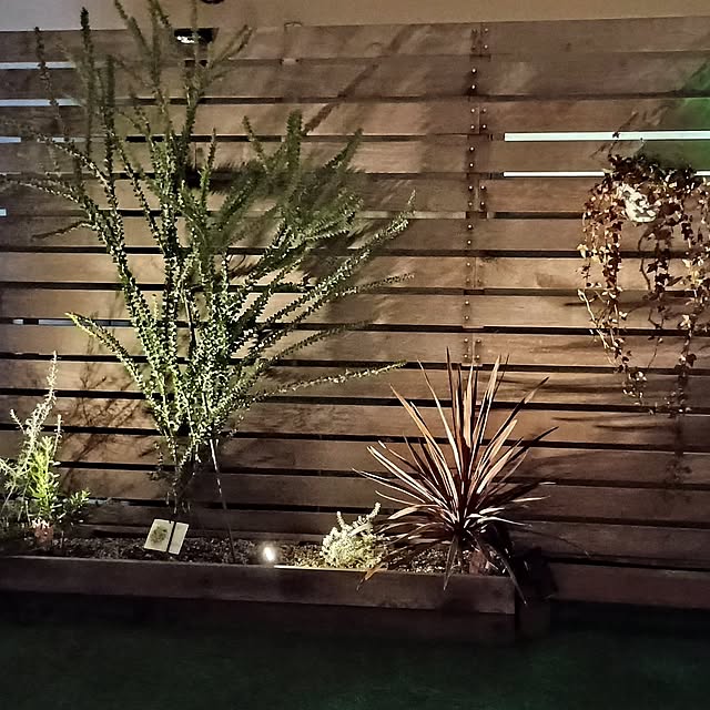 shunpei1980さんの部屋