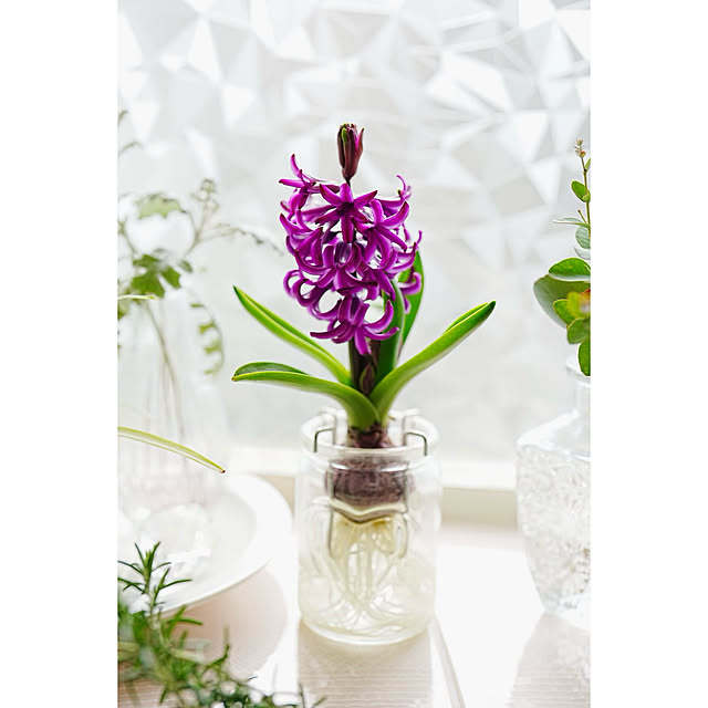 haruisabelさんの部屋