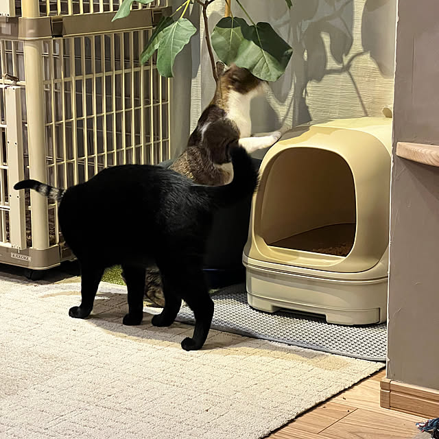 Com816さんの部屋