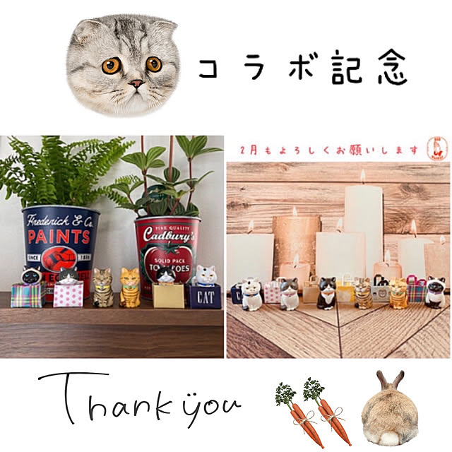 Llatte-usaさんの実例写真