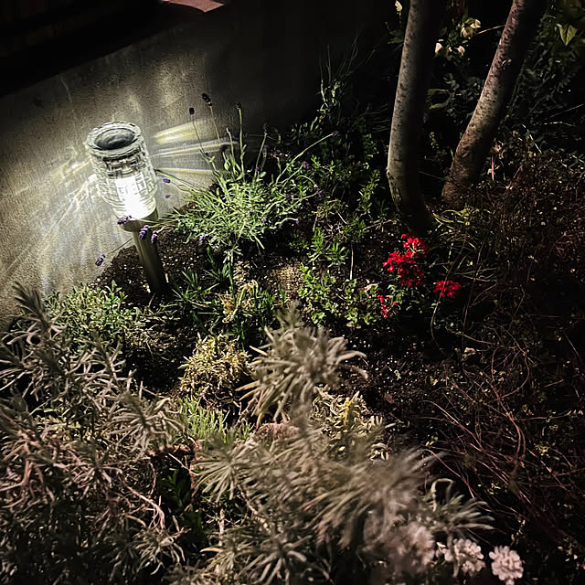 Maruさんの部屋