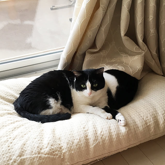bikkeさんの実例写真
