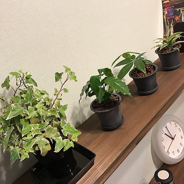 ckさんの実例写真