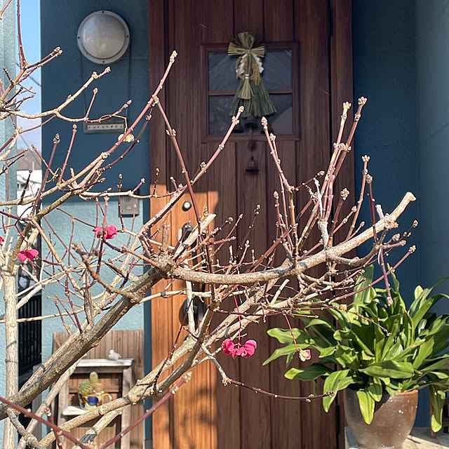 nobikoさんの部屋