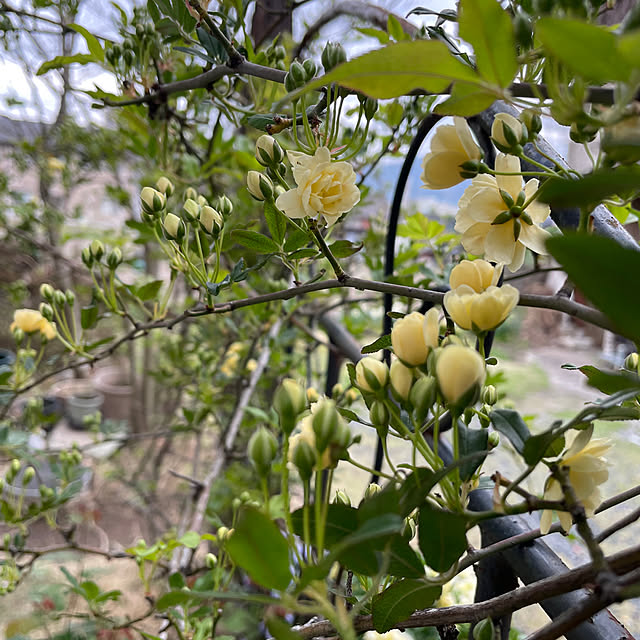 natsumiさんの実例写真