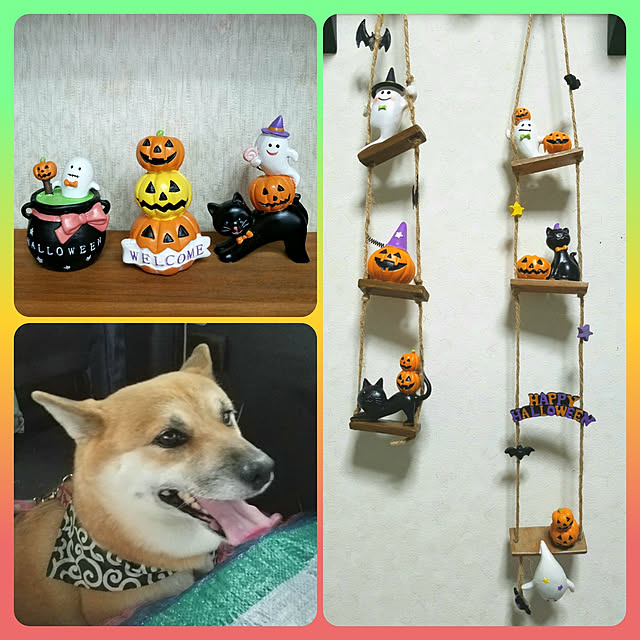 nanaさんの実例写真