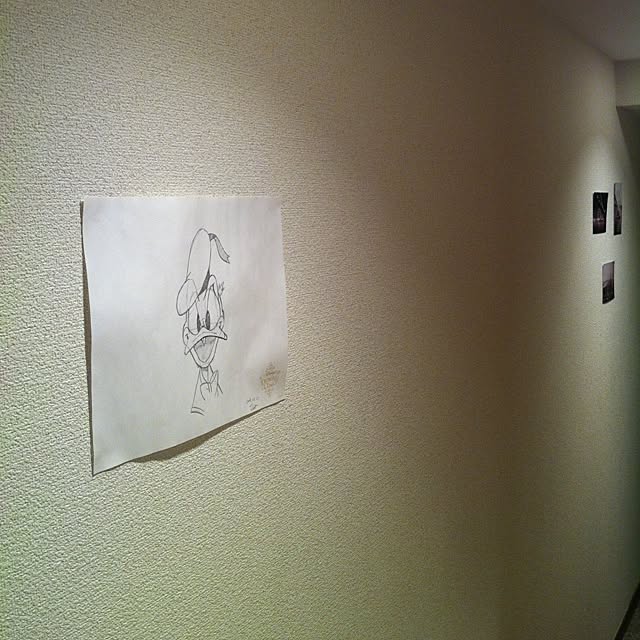 壁/天井のインテリア実例 - 2012-05-03 17:00:33
