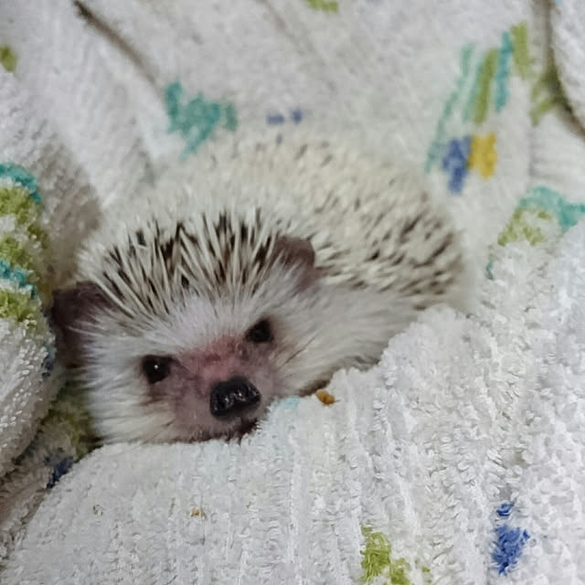 Reikomさんの実例写真
