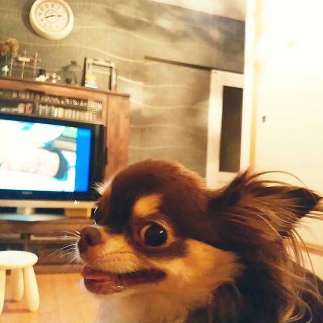 ChocolateNandasさんの実例写真