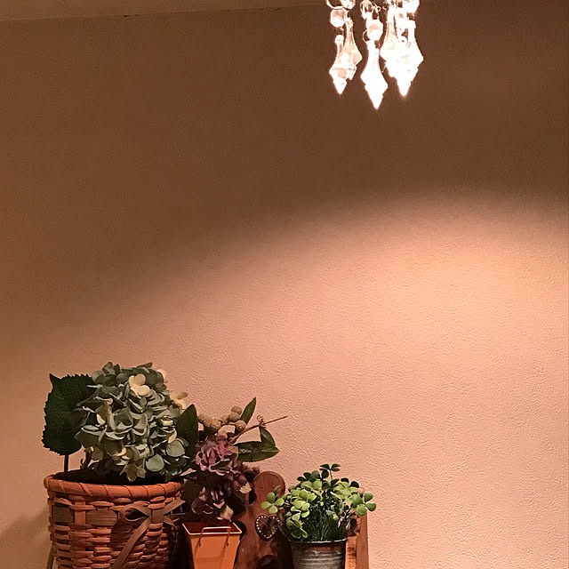 sayuringさんの実例写真