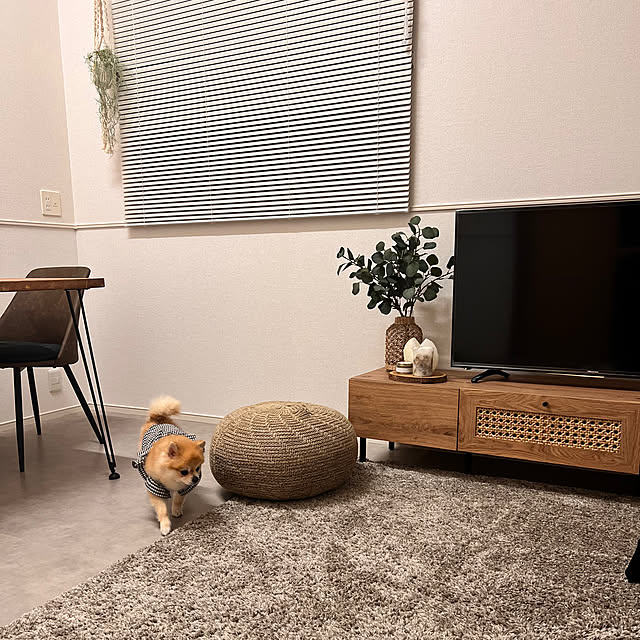 moff__0307さんの実例写真