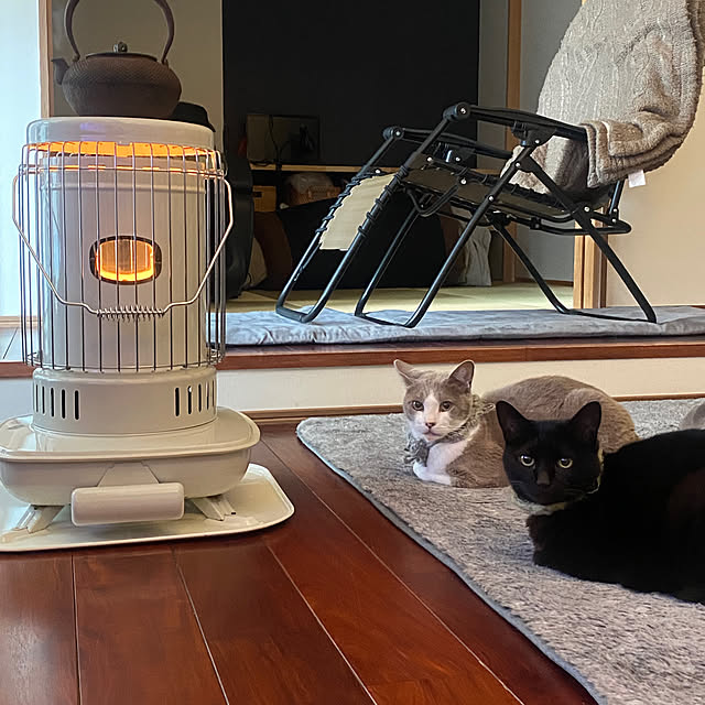 taakoさんの実例写真