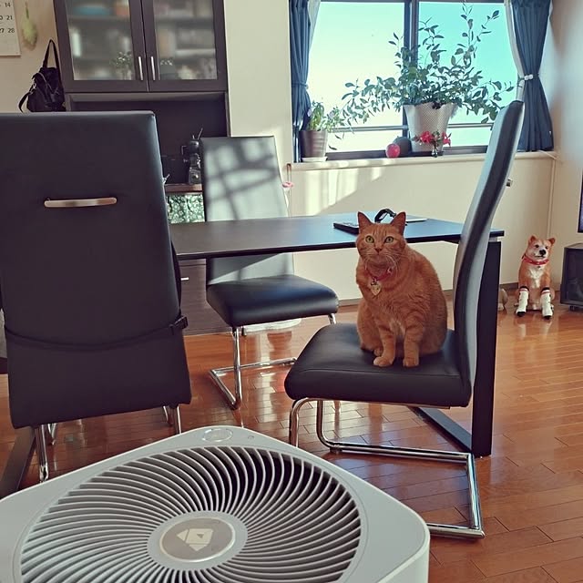 NOAHさんの部屋