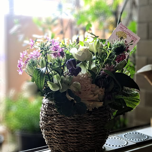 Lunaさんの部屋