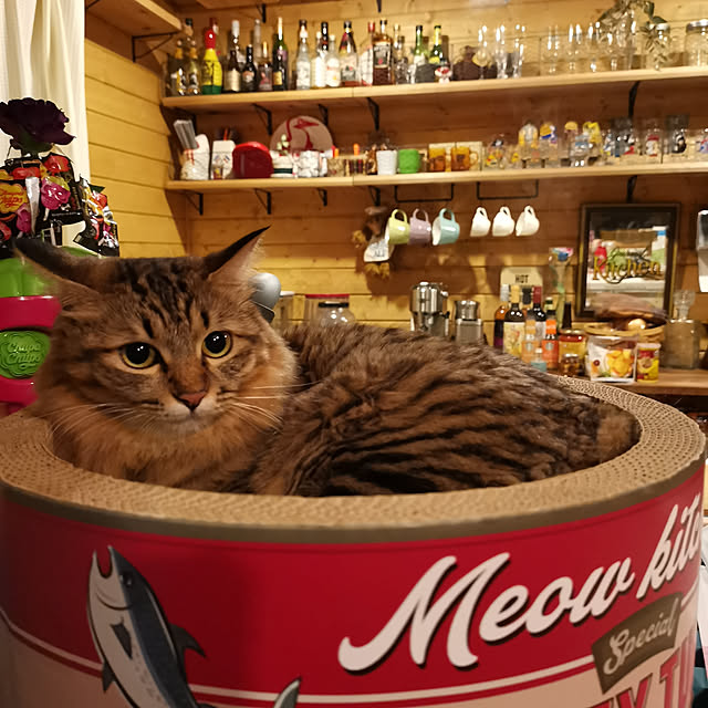 キッチンのインテリア実例 - 2020-09-20 18:46:26