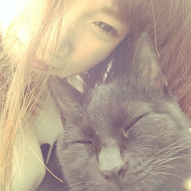 yufullfullさんの実例写真