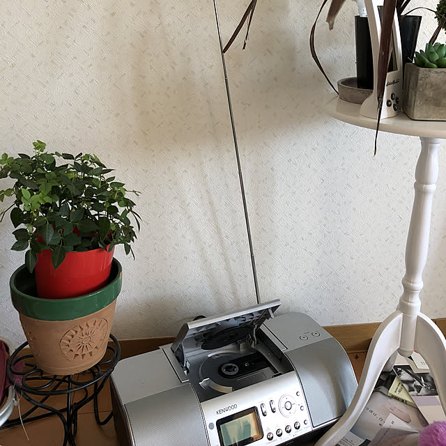 dadaworldさんの実例写真