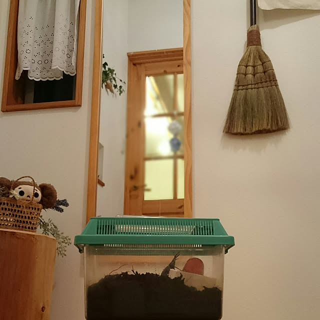 kolmeさんの実例写真