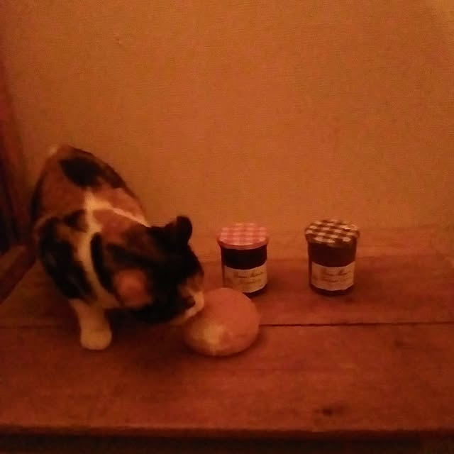 catloveさんの実例写真