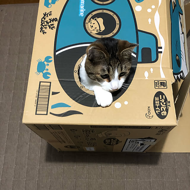 arayanさんの実例写真