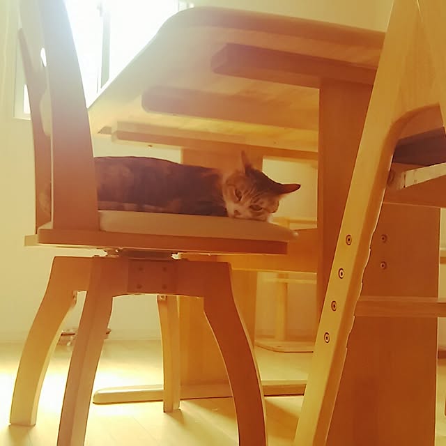 123sgnbさんの実例写真