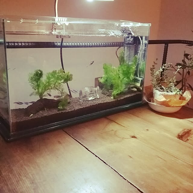 Misakoさんの実例写真