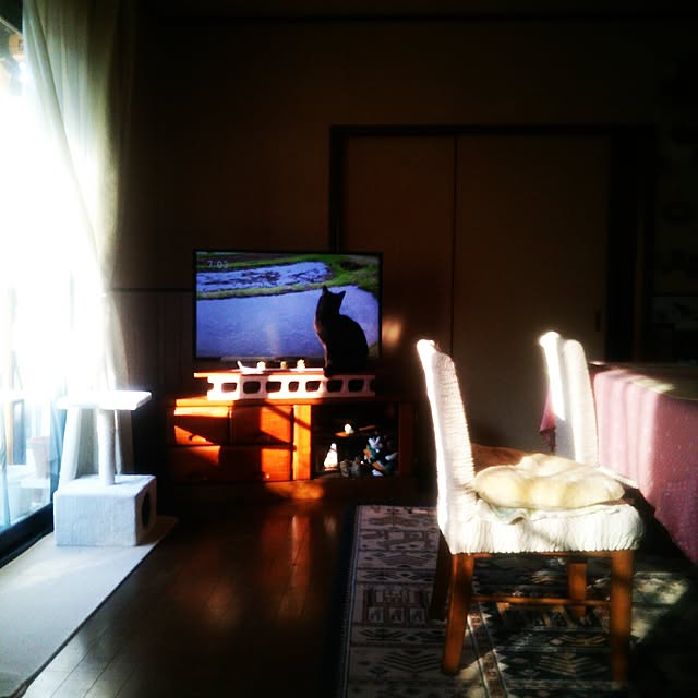tomopさんの実例写真
